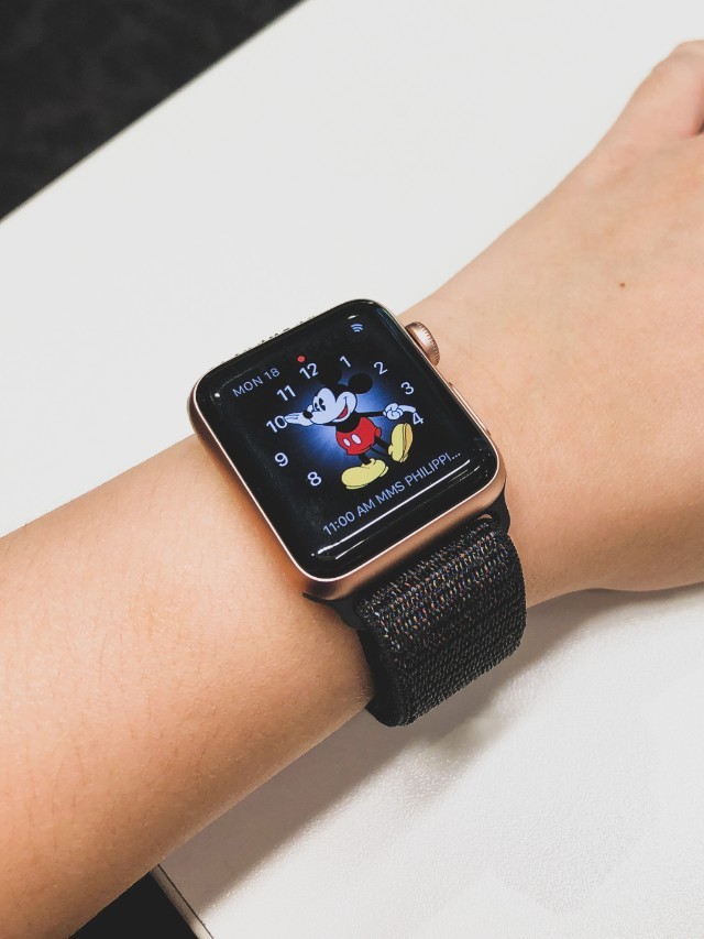 apple watch 38mm sport loop