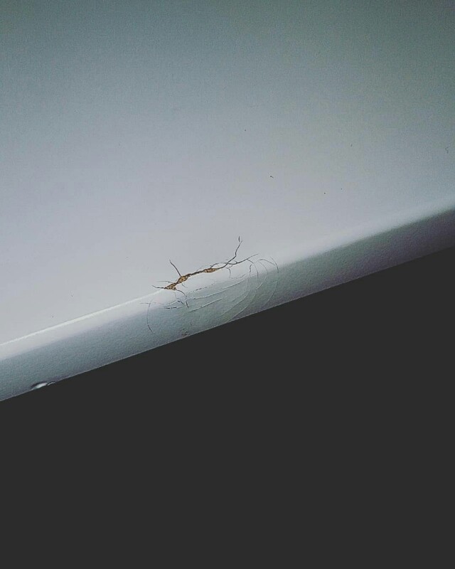 Table (Category: Tables & Sets) located in Singapore. Submitted by amersakinah_7779 (Listing ID 148764570, Image 2). Description: Brand new item. Slight dent. Manufacturer defect..