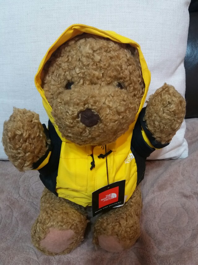 the north face teddy bear