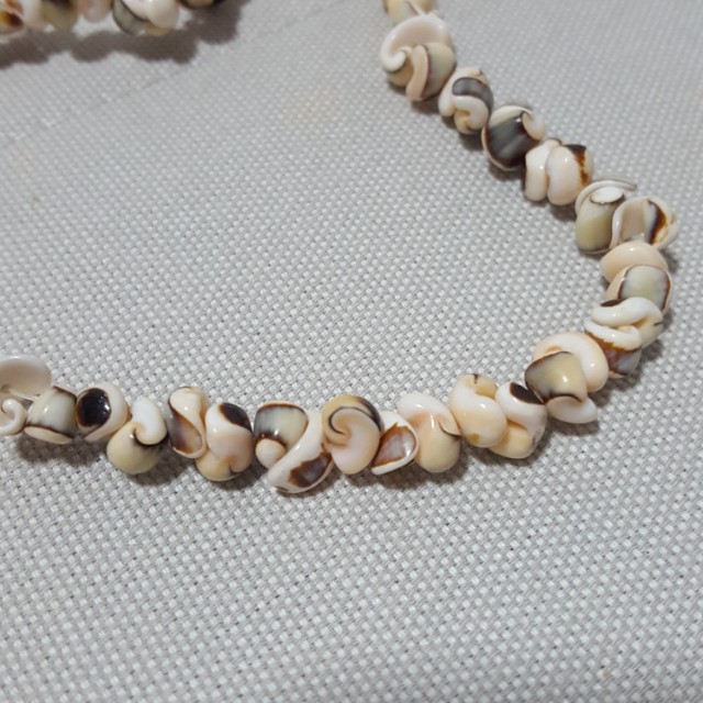 Beach Necklace Made Of Real Shells Women S Fashion Jewellery On