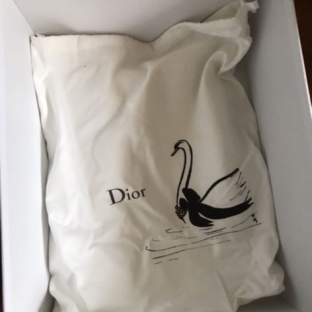 lady dior dust bag