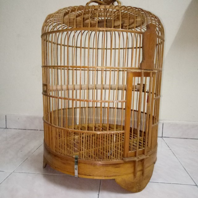 Sangkar Burung Murai 15inci Pet Supplies Pet Accessories On Carousell