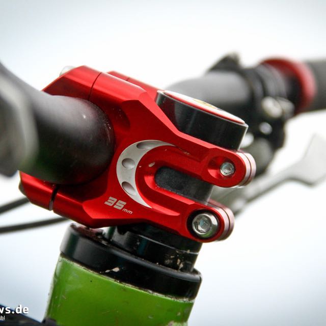 straitline stem