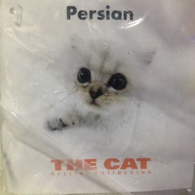 Cat （分類：絨毛玩具）位於 Hong Kong。 由 1818pk 提交（商品編號 149595171，圖片 3）。簡介： 。