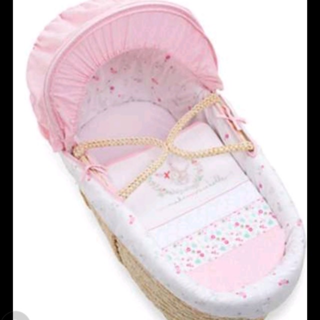 baby girl moses basket