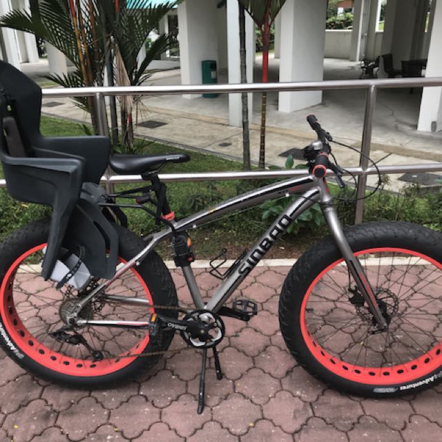 Fat bike child seat on sale