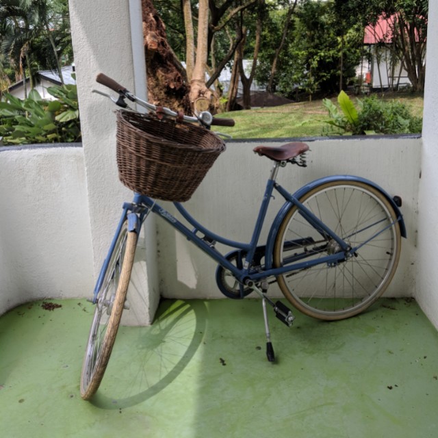 pashley poppy basket