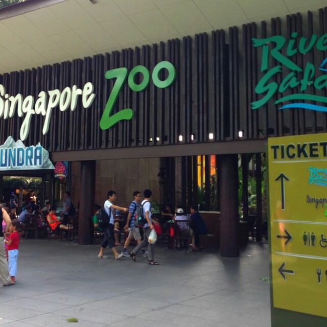 Singapore Zoo Ticket 1516032663 F0543876 
