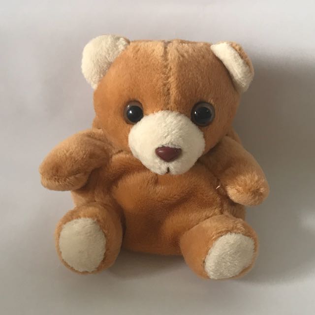 teddy bear with pouch