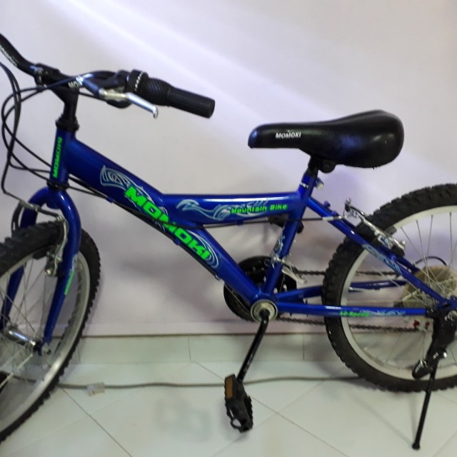 17 inch bmx bike