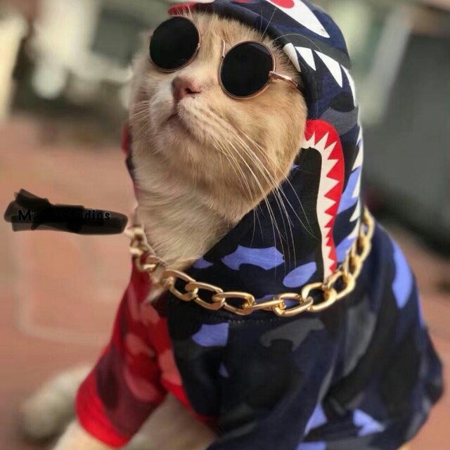 Bape online cat hoodie