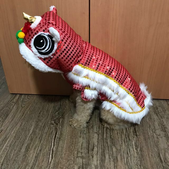 Lion Dance Costume Dog New Year 2018 Poodle Corgi Golden Retriever On Carousell