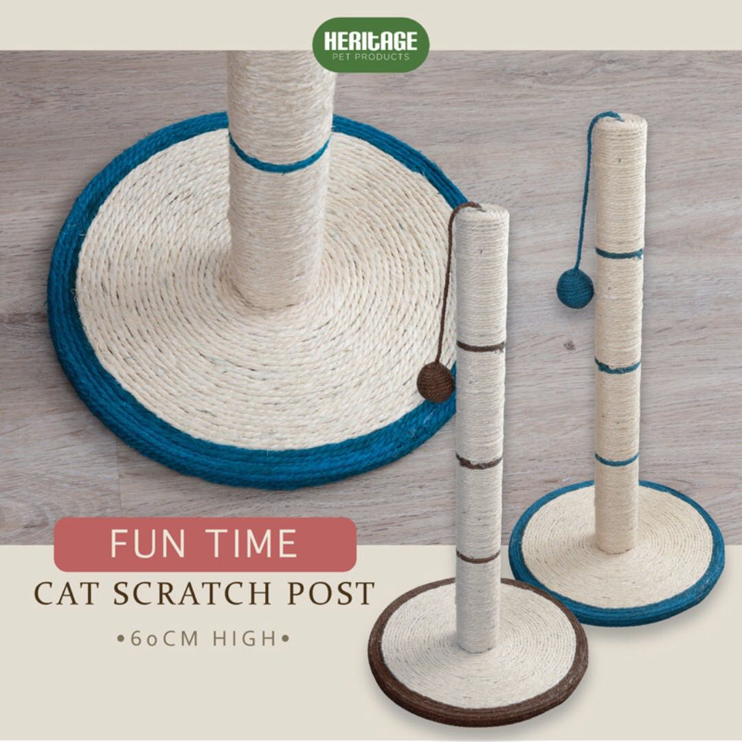 Fun Time 60cm Cat Scratch Post With Ball Pet Supplies On Carousell