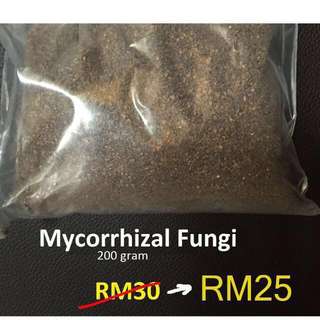 Mycorrhizal Fungi (200 gram)