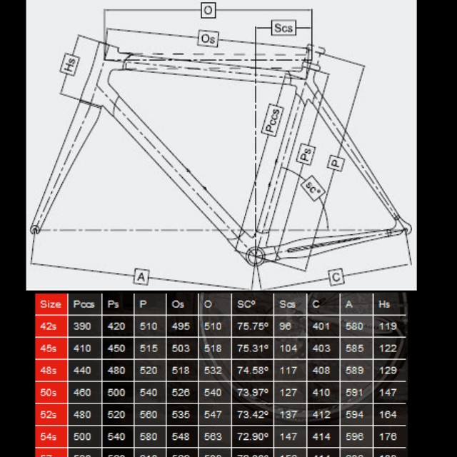 Colnago hot sale clx sizing