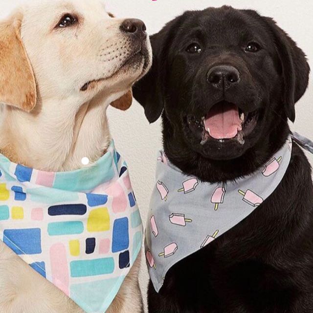 Dog bandana kmart Clearance