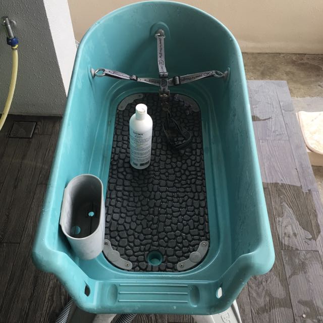 Dog bath tub booster bath Pet Supplies Homes Other Pet Accessories on Carousell