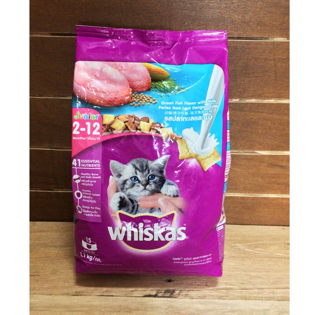 whiskas junior cat food