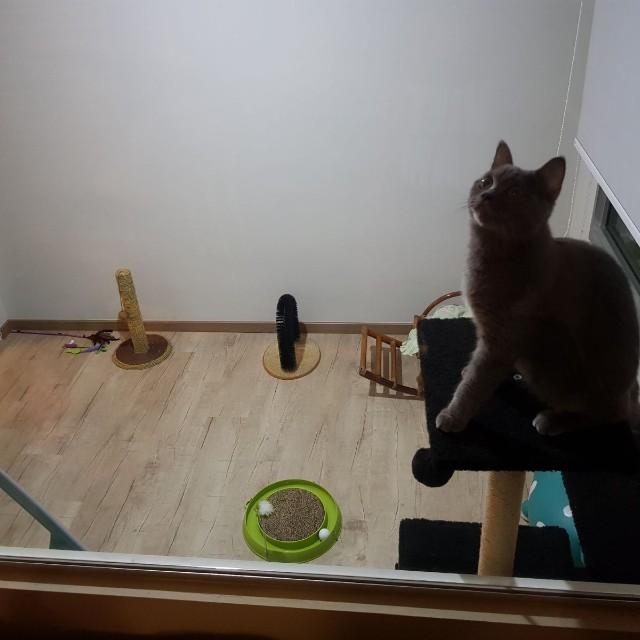 (Category: ) located in . Submitted by marniasfa (Listing ID 151123837, Image 1). Description: .