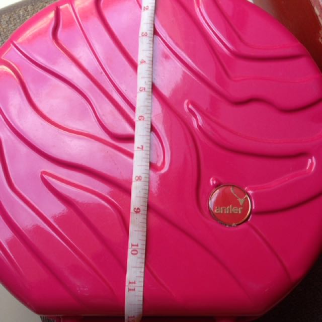 antler pink vanity case