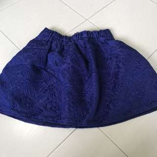 Embroided Blue Skirt