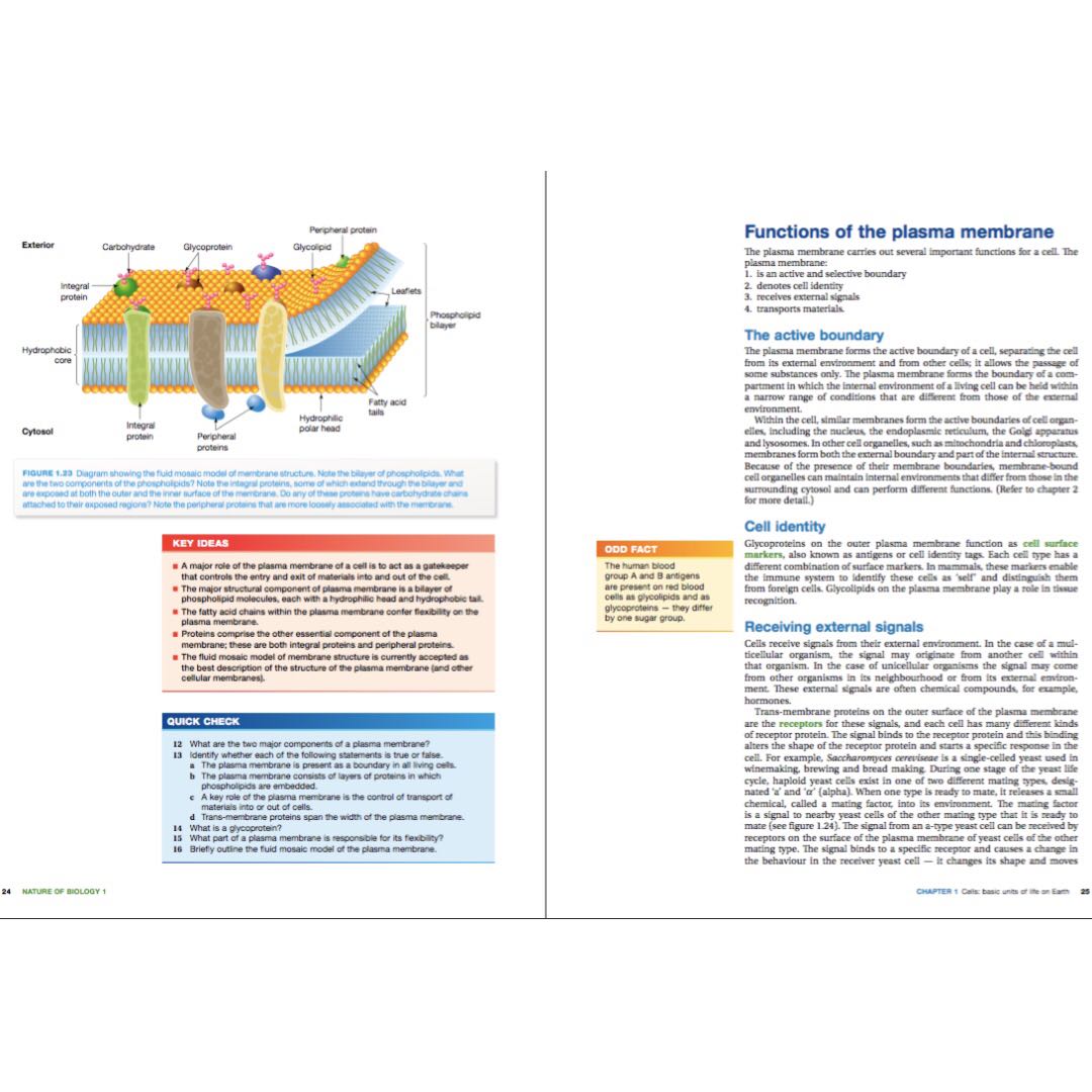 PDF Nature of Biology 1 VCE Units 1&2 5th Edition, Textbooks on Carousell