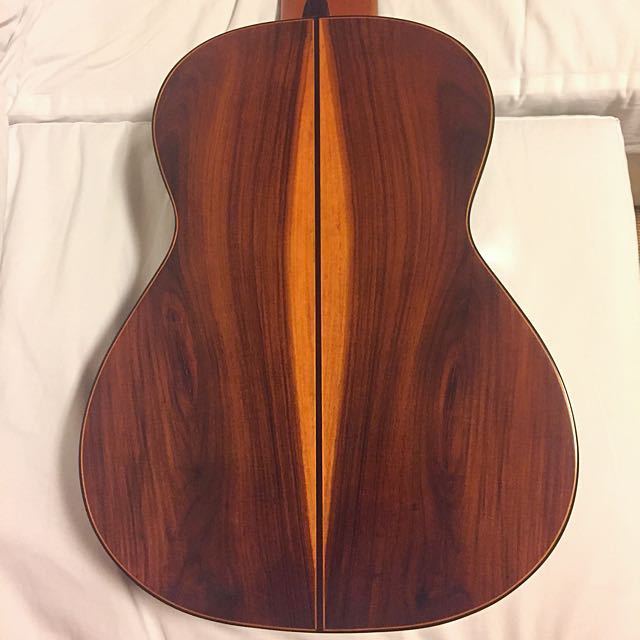 Ten String Classical Guitar 10 String Leonardo Apa / Altamira’s Hanson