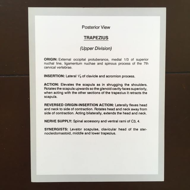 Anatomy Flash Cards by Bryan Edwards Publishing (For Stott Pilates Exam