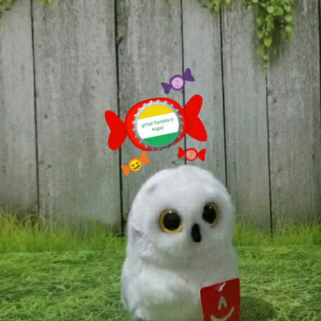 6100 Koleksi Gambar Burung Hantu Imut HD Terbaik