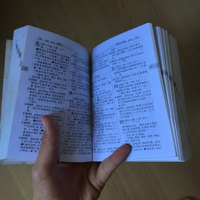 Chinese Dictionary (PSLE Approved), Hobbies & Toys, Books & Magazines