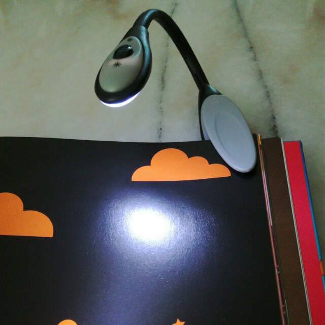 Energizer Reading Light