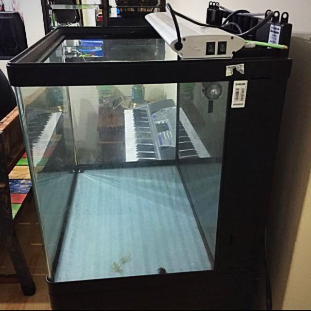 Scene butik amatør Fish Tank (Red Sea max 130D), Pet Supplies, Homes & Other Pet Accessories  on Carousell