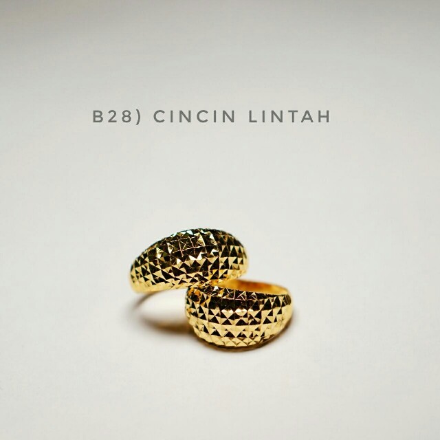 100+ Gambar Cincin Lintah HD 100+ Gambar Cincin Lintah HD
