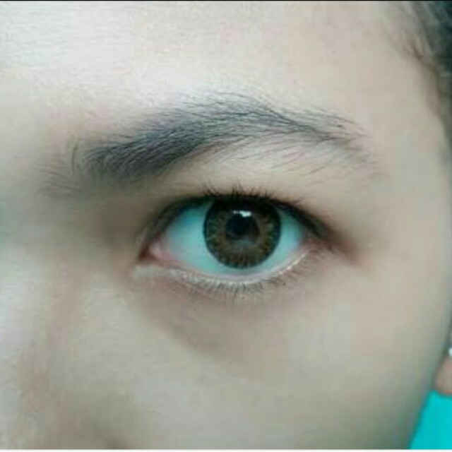 Softlens Newlook Charm Brown Olshop Fashion Olshop Wanita On Carousell