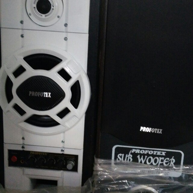 Speaker profotex 6 inch Clearance
