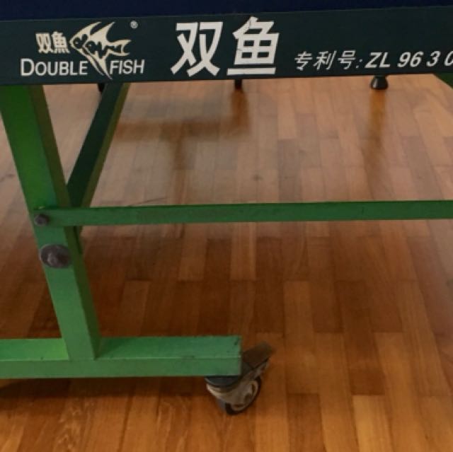 Double Fish table tennis (ping pong) table, Sports Equipment, Sports