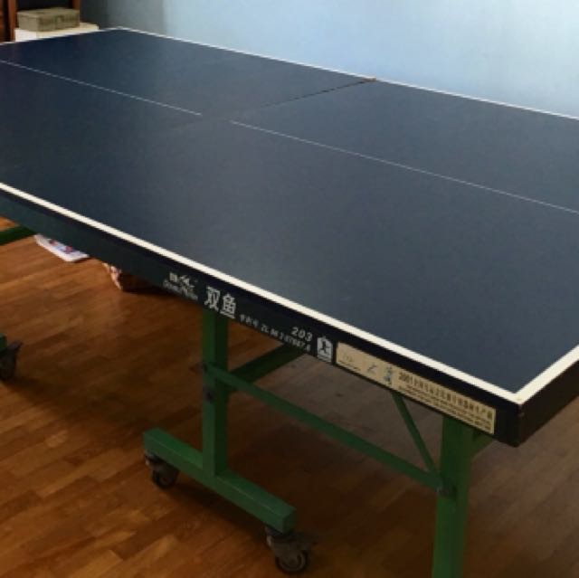Double Fish table tennis (ping pong) table, Sports Equipment, Sports