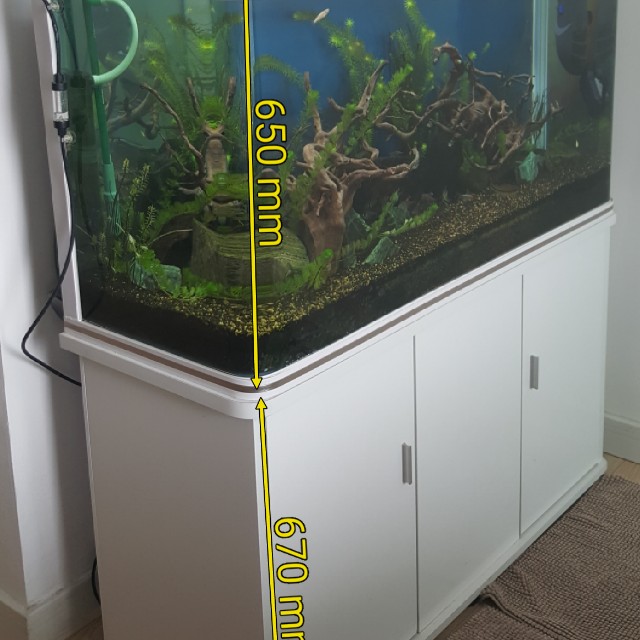 4 feet fish tank, Pet Supplies, Homes & Other Pet Accessories on Carousell