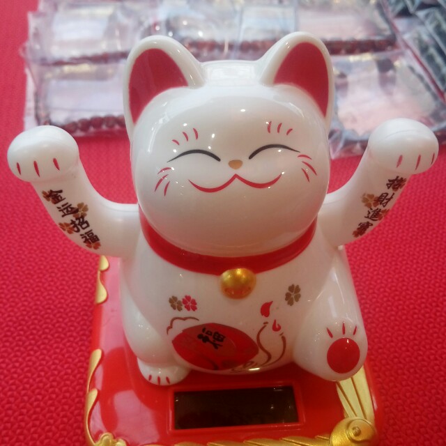 solar fortune cat