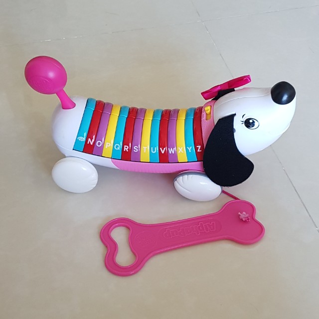 Alphabet on sale dog walking