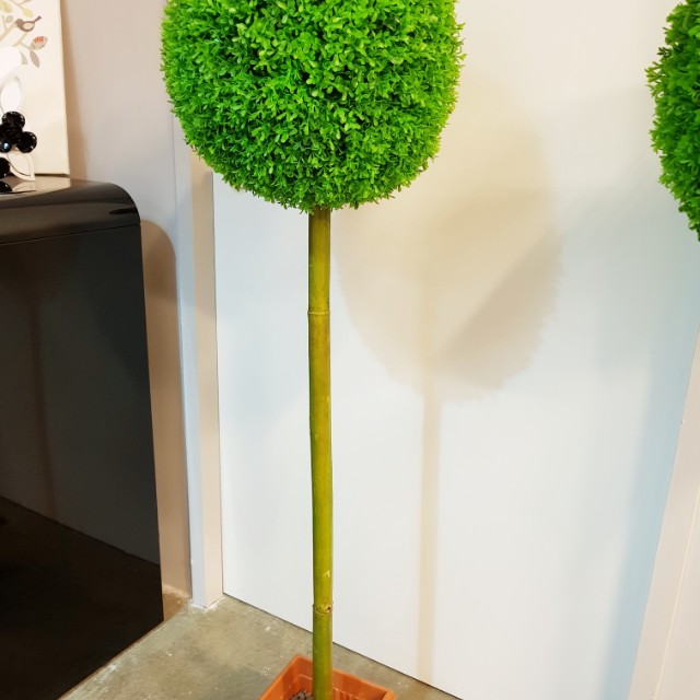 Artificial Topiary Ball Tree Furniture Home Living Home Decor On Carousell