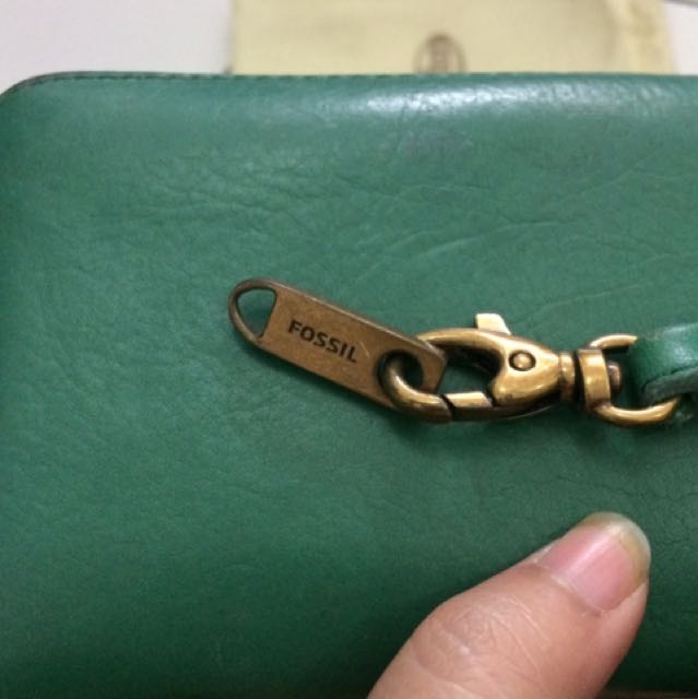 fossil pvj