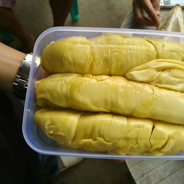 Download 93+ Gambar Durian Kupas Terbaru 