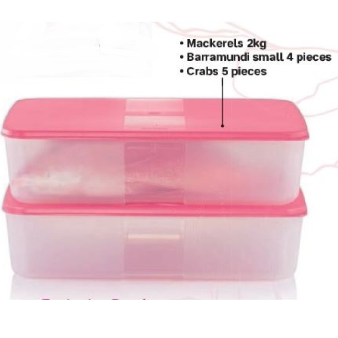 Tupperware Plastic Freezer Mate Set - Set of 2, Pink, White 