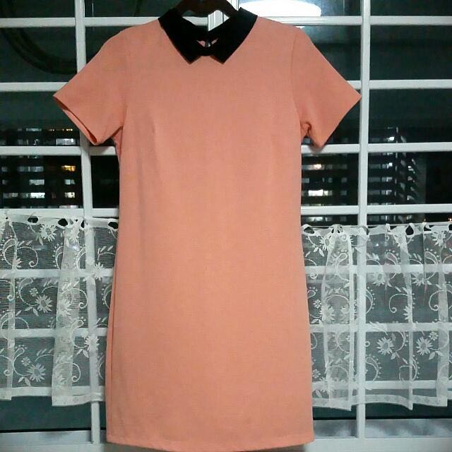 dorothy perkins collar dress