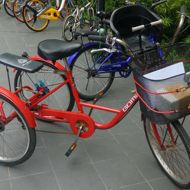 Tricycle Gomier 6 speed, Sports Equipment, Bicycles & Parts, Bicycles