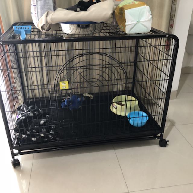Ace hardware dog cage hot sale