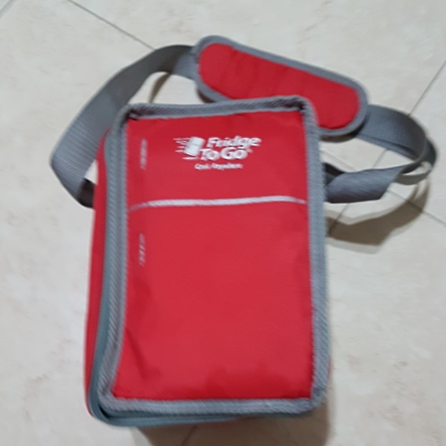 fridge to go mini fridge