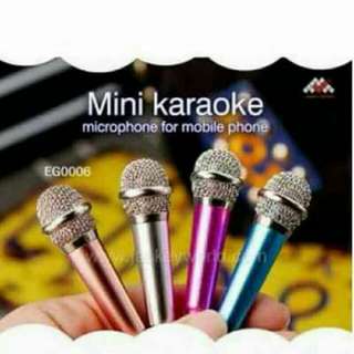 Mini microphone