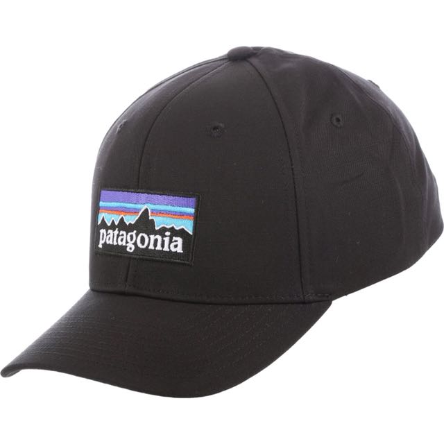patagonia snapback